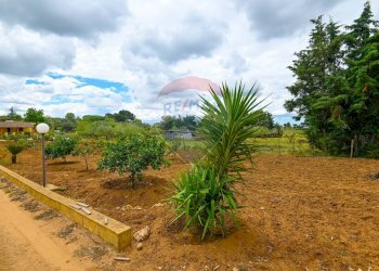 Giardino - Villa C/DA REGALSEMI
 
SN, Caltagirone - foto 39