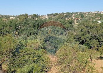 Non correlato - Terreno agricolo VIA VENAZIO MARVUGLIA
 
SN, Caltagirone - foto 7
