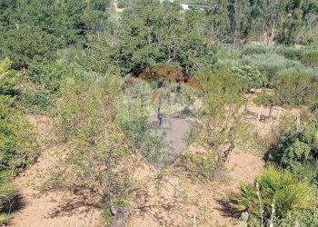 Non correlato - Terreno agricolo VIA VENAZIO MARVUGLIA
 
SN, Caltagirone - foto 9