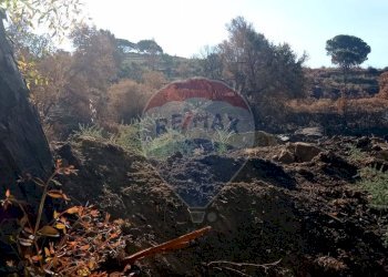 Non correlato - Terreno agricolo VIA VENAZIO MARVUGLIA
 
SN, Caltagirone - foto 16