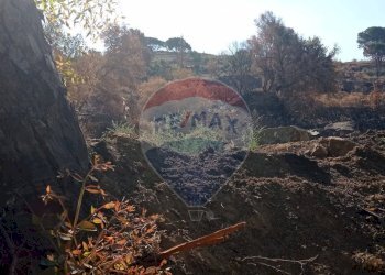 Non correlato - Terreno agricolo VIA VENAZIO MARVUGLIA
 
SN, Caltagirone - foto 17