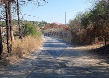 Non correlato - Terreno agricolo VIA VENAZIO MARVUGLIA
 
SN, Caltagirone - foto 19