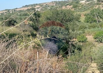 Vista delle montagne - Terreno agricolo VIA VENAZIO MARVUGLIA
 
SN, Caltagirone - foto 20