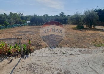 Giardino - Residence C.DA FOSSA DELL'AGLIO, Santa Maria di Licodia - foto 3