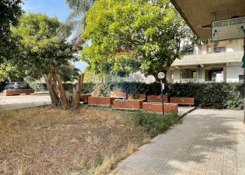 Giardino - Attività Commerciale Viale Librino
 
6, Catania - foto 4