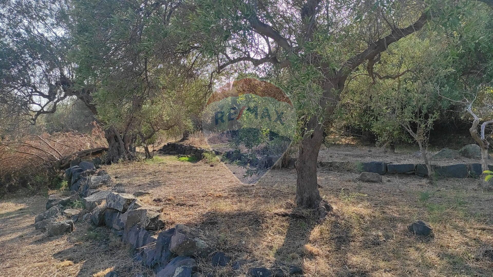 TERRENO - Terreno agricolo VIA SCALAZZA
 
35, Aci Castello - foto 3