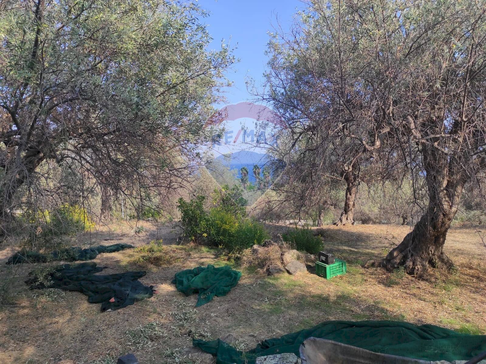 TERRENO - Agricultural land VIA SCALAZZA
 
35, Aci Castello - photo 1