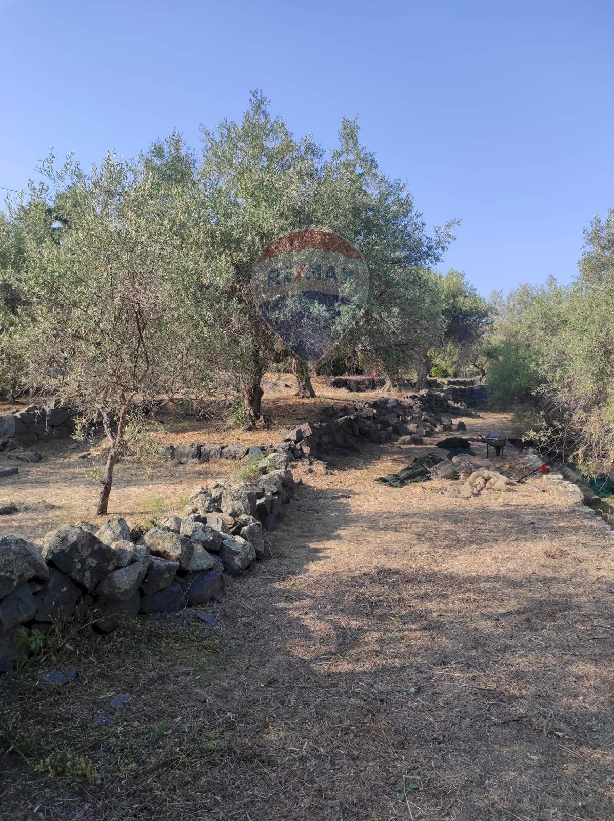 TERRENO - Terreno agricolo VIA SCALAZZA
 
35, Aci Castello - foto 2