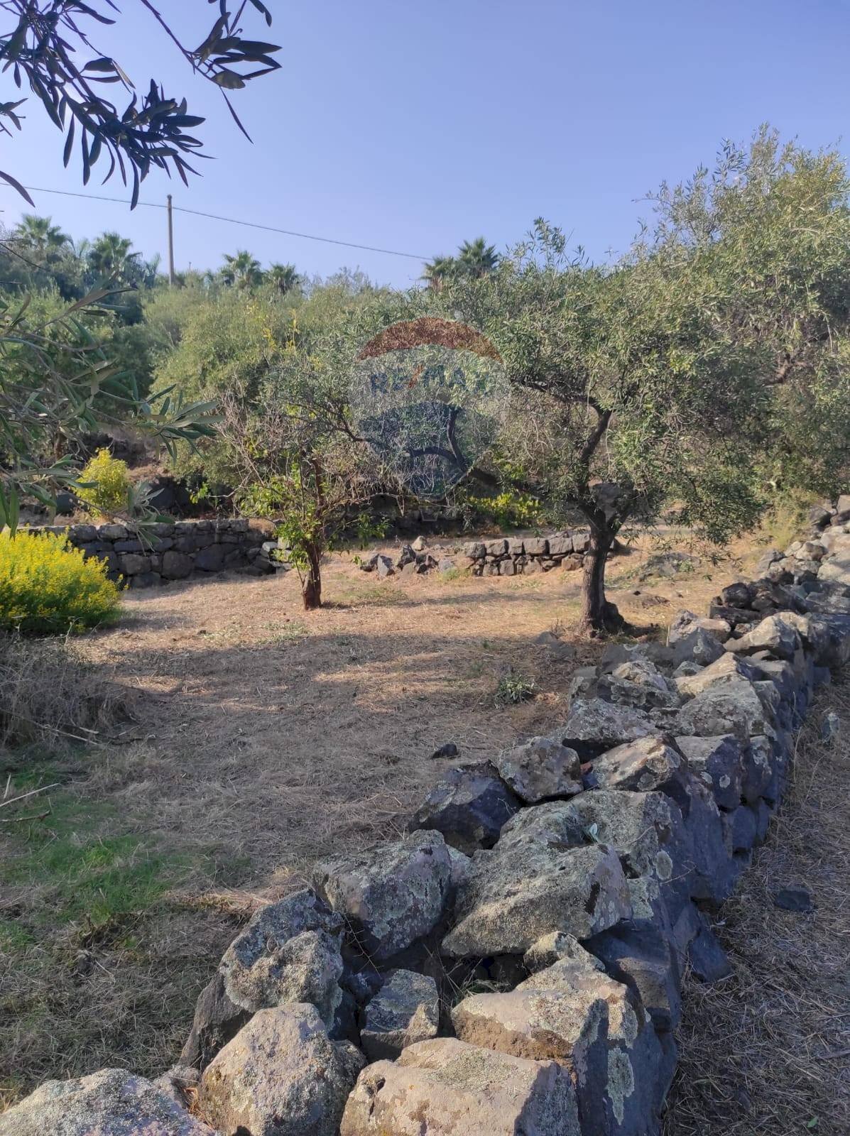 TERRENO - Terreno agricolo VIA SCALAZZA
 
35, Aci Castello - foto 1