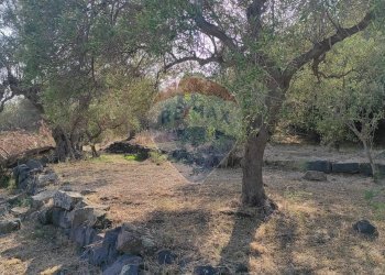 TERRENO - Terreno agricolo VIA SCALAZZA
 
35, Aci Castello - foto 3