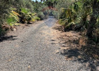 INGRESSO - Terreno agricolo VIA SCALAZZA
 
35, Aci Castello - foto 5