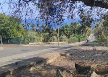 TERRENO - Terreno agricolo VIA SCALAZZA
 
35, Aci Castello - foto 12