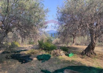 TERRENO - Terreno agricolo VIA SCALAZZA
 
35, Aci Castello - foto 15