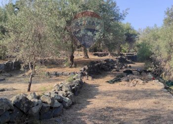 TERRENO - Terreno agricolo VIA SCALAZZA
 
35, Aci Castello - foto 2