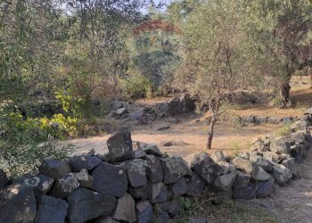 TERRENO - Terreno agricolo VIA SCALAZZA
 
35, Aci Castello - foto 16