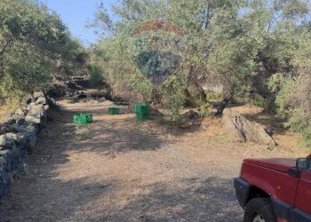 TERRENO - Terreno agricolo VIA SCALAZZA
 
35, Aci Castello - foto 18