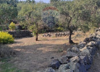 TERRENO - Terreno agricolo VIA SCALAZZA
 
35, Aci Castello - foto 19