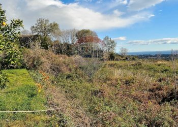 Giardino - Terreno agricolo Contrada Cavì
 
SNC, Fiumefreddo di Sicilia - foto 15