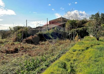 Giardino - Terreno agricolo Contrada Cavì
 
SNC, Fiumefreddo di Sicilia - foto 18