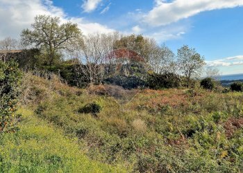 Vista delle montagne - Terreno agricolo Contrada Cavì
 
SNC, Fiumefreddo di Sicilia - foto 19
