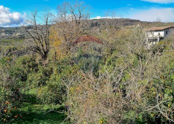 Vista delle montagne - Terreno agricolo Contrada Cavì
 
SNC, Fiumefreddo di Sicilia - foto 24
