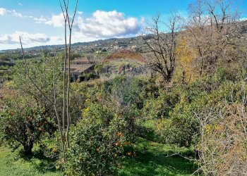 Vista delle montagne - Terreno agricolo Contrada Cavì
 
SNC, Fiumefreddo di Sicilia - foto 25