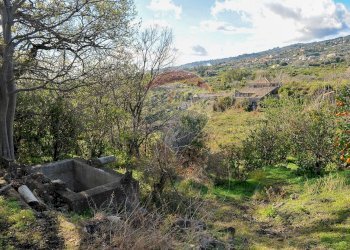 Vista delle montagne - Terreno agricolo Contrada Cavì
 
SNC, Fiumefreddo di Sicilia - foto 29