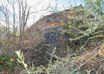 Vista delle montagne - Terreno agricolo Contrada Cavì
 
SNC, Fiumefreddo di Sicilia - foto 35