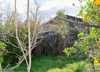 Giardino - Terreno agricolo Contrada Cavì
 
SNC, Fiumefreddo di Sicilia - foto 36