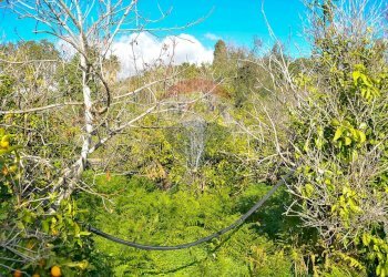 Giardino - Terreno agricolo Contrada Cavì
 
SNC, Fiumefreddo di Sicilia - foto 37
