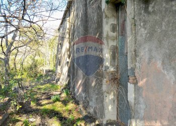 Giardino - Terreno agricolo Contrada Cavì
 
SNC, Fiumefreddo di Sicilia - foto 41