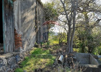 Giardino - Terreno agricolo Contrada Cavì
 
SNC, Fiumefreddo di Sicilia - foto 43