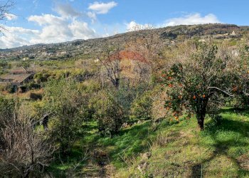 Vista delle montagne - Terreno agricolo Contrada Cavì
 
SNC, Fiumefreddo di Sicilia - foto 44