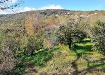 Vista delle montagne - Terreno agricolo Contrada Cavì
 
SNC, Fiumefreddo di Sicilia - foto 47