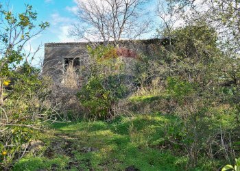 Casa all\'aperto - Terreno agricolo Contrada Cavì
 
SNC, Fiumefreddo di Sicilia - foto 49