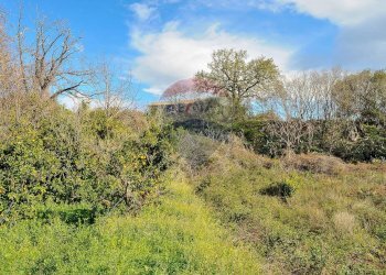 Vista delle montagne - Terreno agricolo Contrada Cavì
 
SNC, Fiumefreddo di Sicilia - foto 50