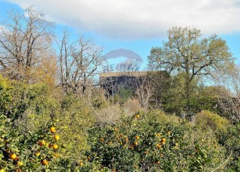 Vista delle montagne - Terreno agricolo Contrada Cavì
 
SNC, Fiumefreddo di Sicilia - foto 54