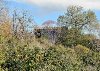 Vista delle montagne - Terreno agricolo Contrada Cavì
 
SNC, Fiumefreddo di Sicilia - foto 59