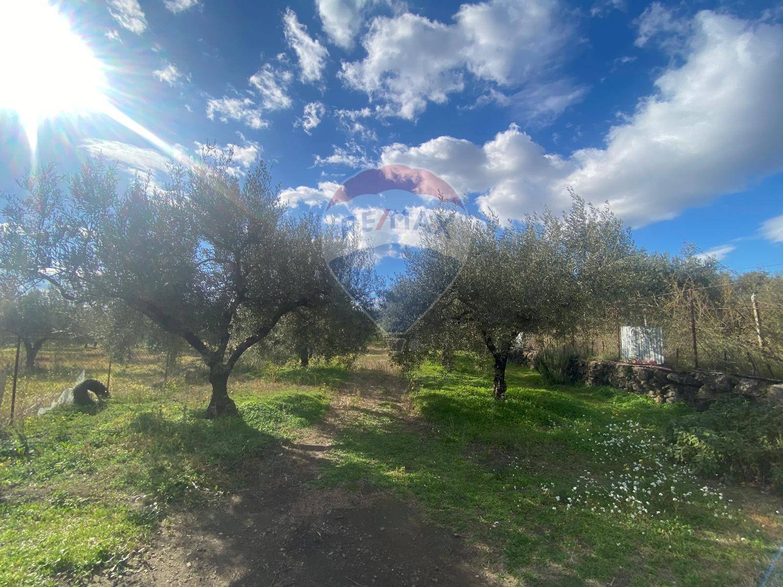 Giardino - Agricultural land Contrada Acqua Rossa Belpasso
 
75, Belpasso - photo 1