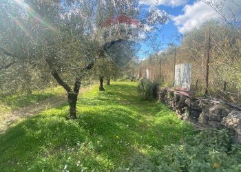 Giardino - Agricultural land Contrada Acqua Rossa Belpasso
75, Belpasso - photo 4