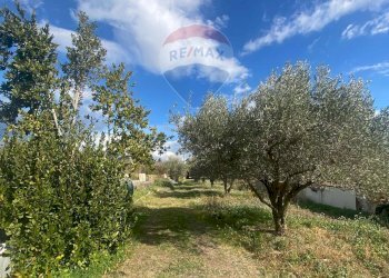 Giardino - Agricultural land Contrada Acqua Rossa Belpasso
75, Belpasso - photo 6