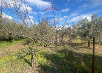 Giardino - Agricultural land Contrada Acqua Rossa Belpasso
75, Belpasso - photo 8