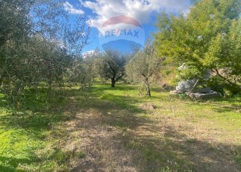 Giardino - Agricultural land Contrada Acqua Rossa Belpasso
75, Belpasso - photo 10