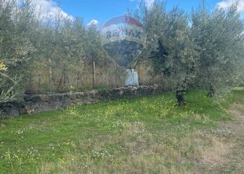 Giardino - Agricultural land Contrada Acqua Rossa Belpasso
75, Belpasso - photo 12