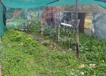 Vista delle montagne - Agricultural land Contrada Acqua Rossa Belpasso
75, Belpasso - photo 15