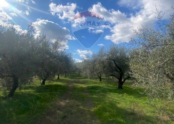 Giardino - Agricultural land Contrada Acqua Rossa Belpasso
75, Belpasso - photo 20