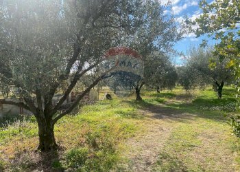 Giardino - Agricultural land Contrada Acqua Rossa Belpasso
75, Belpasso - photo 21
