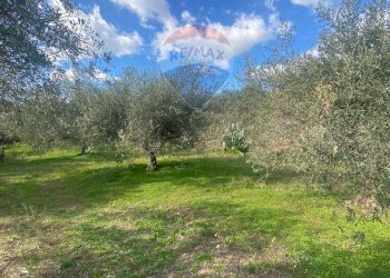 Giardino - Agricultural land Contrada Acqua Rossa Belpasso
75, Belpasso - photo 22