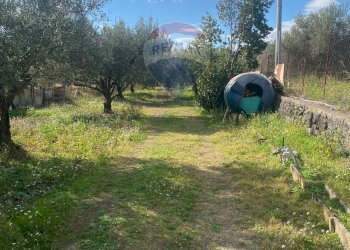 Giardino - Agricultural land Contrada Acqua Rossa Belpasso
75, Belpasso - photo 23