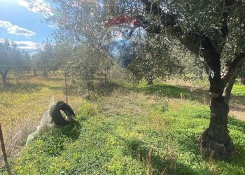 Giardino - Agricultural land Contrada Acqua Rossa Belpasso
75, Belpasso - photo 24